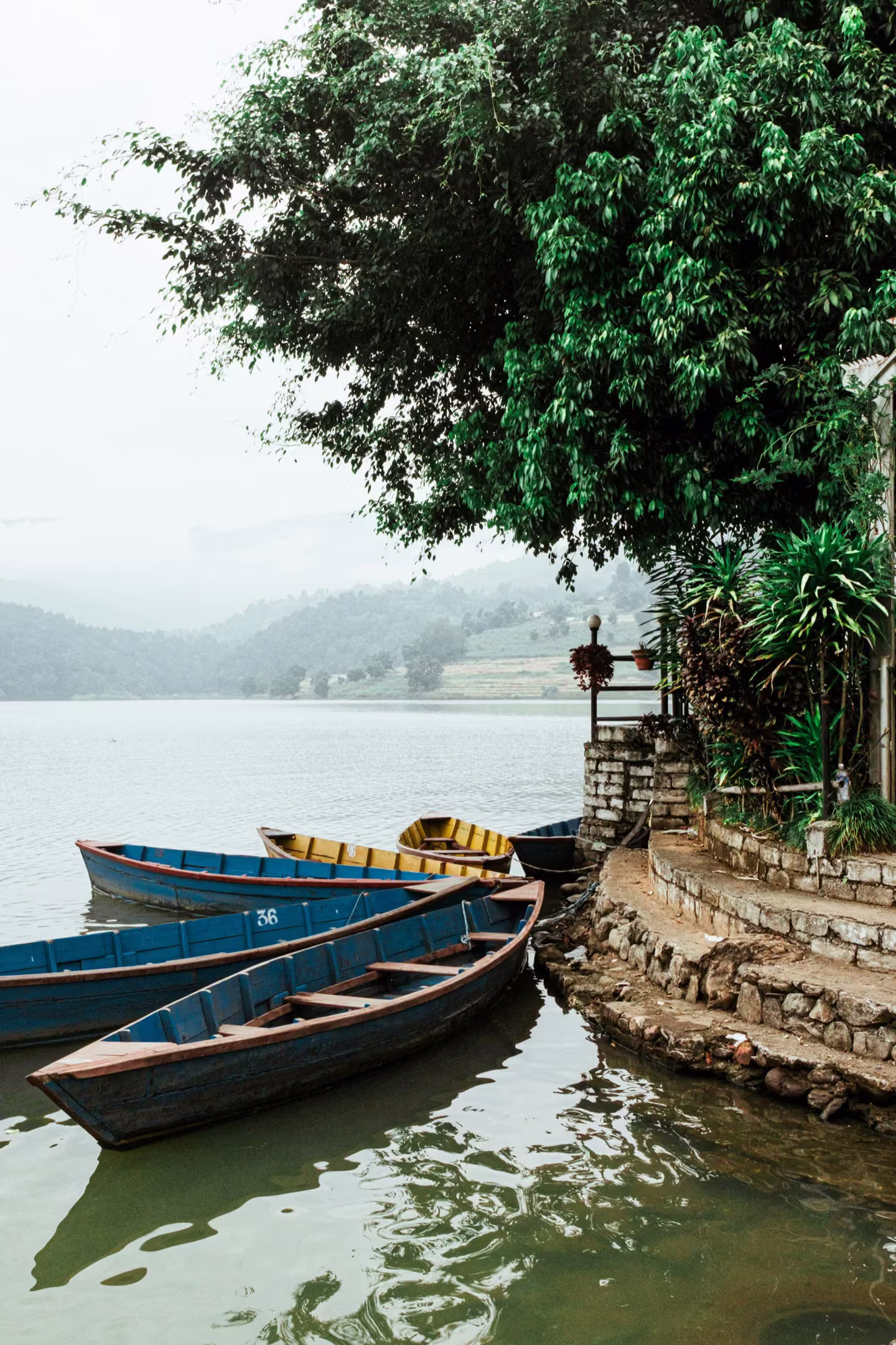 Wooden boats resting on the shore of Phewa Lake