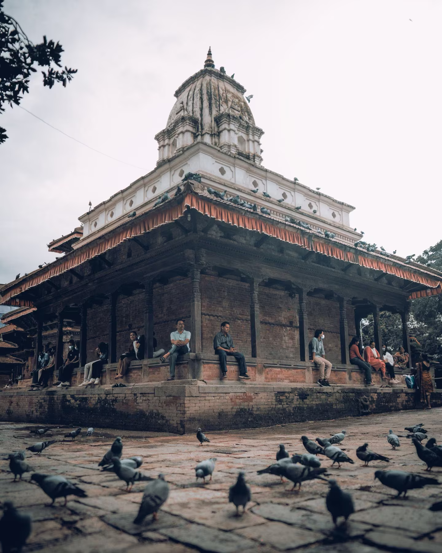 People sitting on temple steps while birds feed below