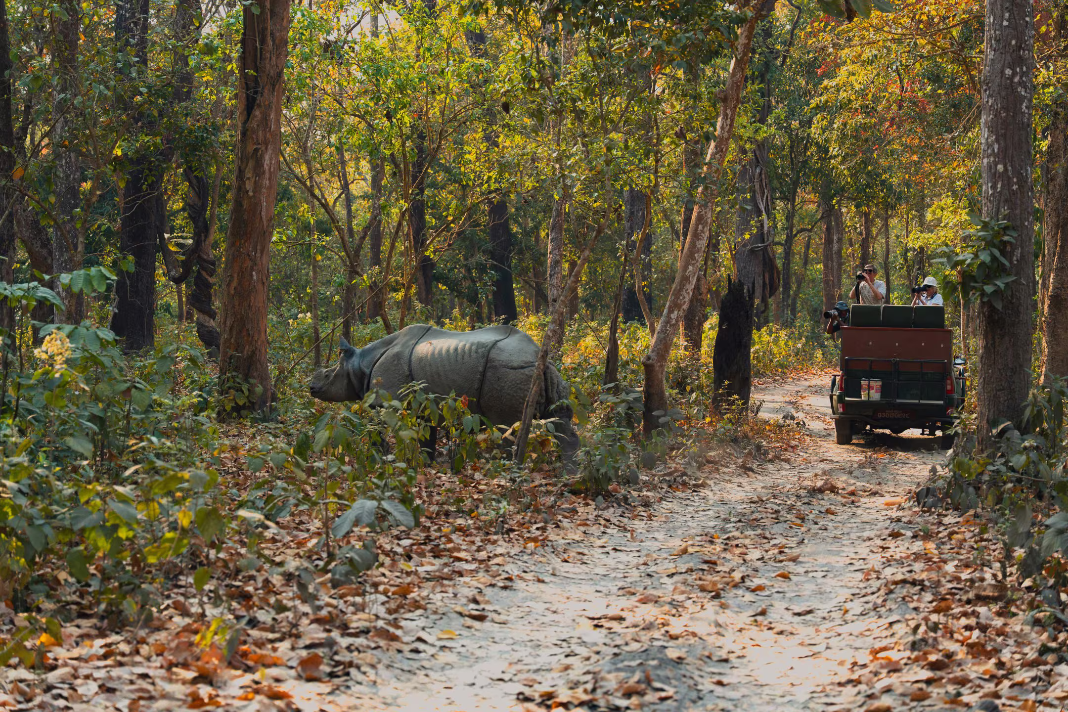 Safari travelers photographing a wild rhino from a jeep